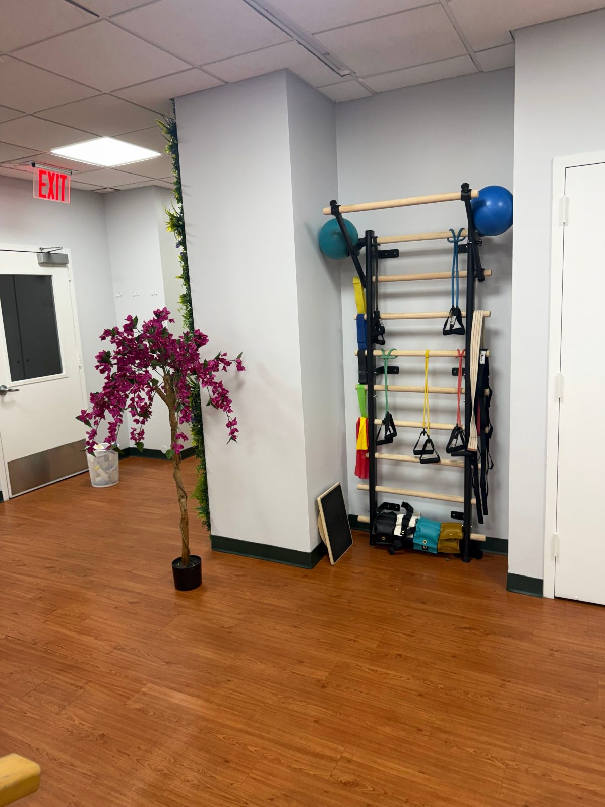 ProKinetics Chelsea rehab wall with resistance bands