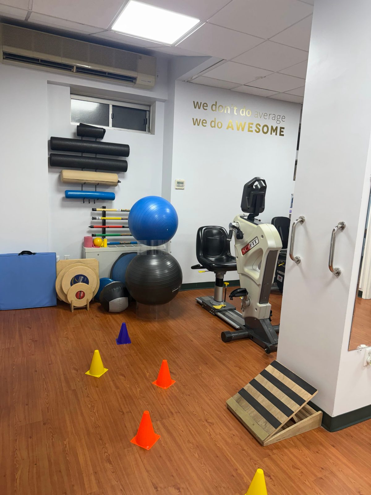 ProKinetics Chelsea therapy gym with balance and agility equipment
